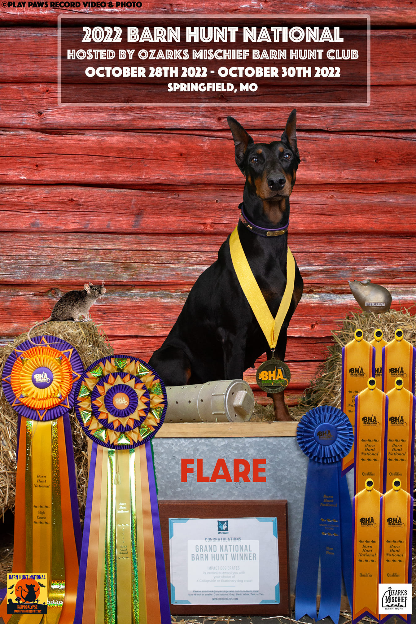 Grand National Gold Medal winner Flare